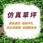 人造草坪幼儿园 足球场运动仿真草坪地毯草人工塑料假草皮批发