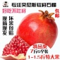 河阴软籽石榴 突尼斯无籽石榴精品果 7斤6个装 非蒙自石榴现货