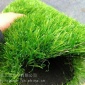 北京人造草坪批发假草坪价格