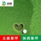 高尔夫球场草坪地人造草坪多功能门球场草坪仿真草坪打击垫